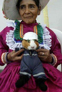 /mnt/target04/367787/368717/fotofund.org/web/content/wp-content/uploads/2014/03/guinea-pigs.jpg